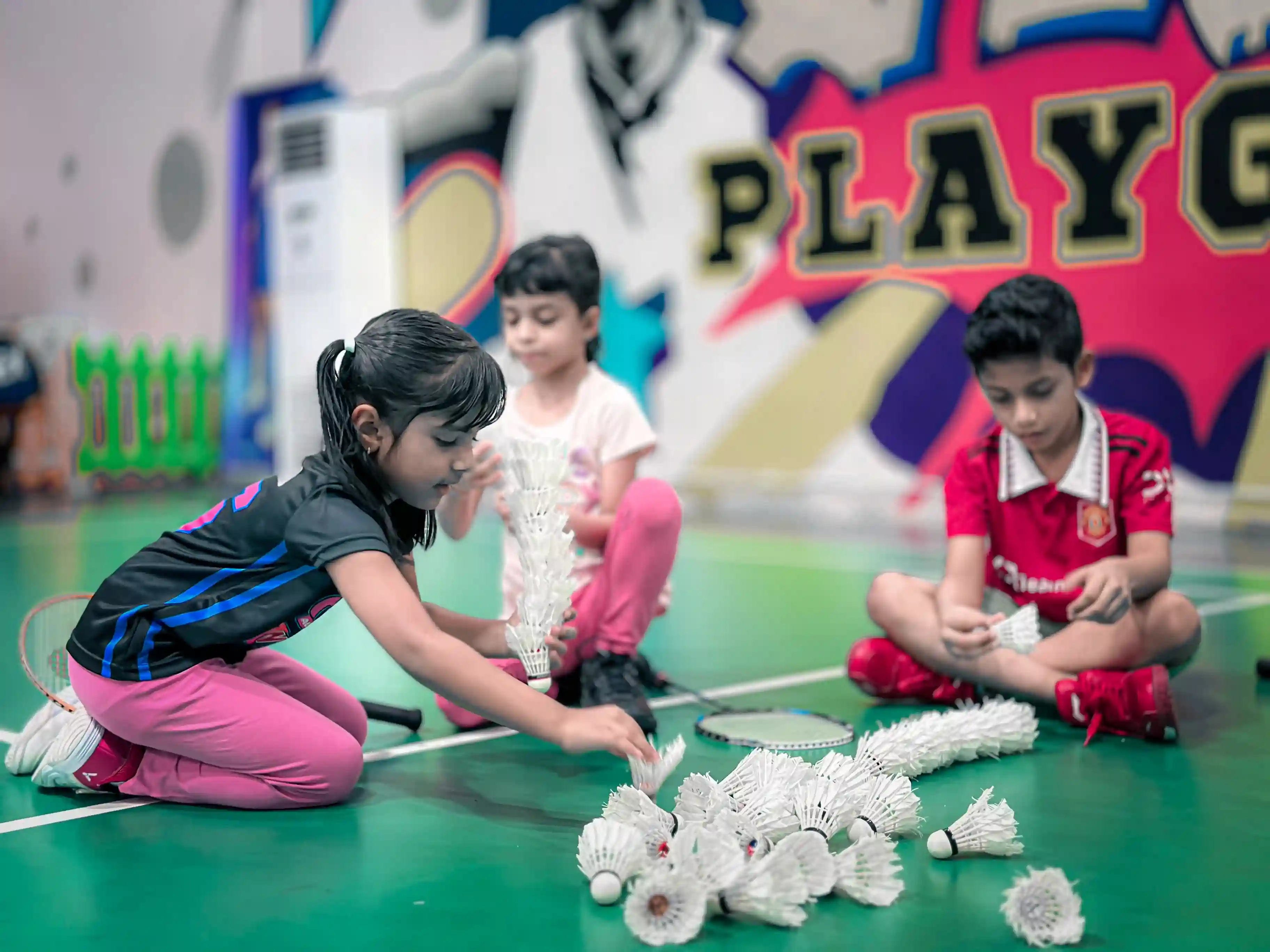 Badminton Sports Academy